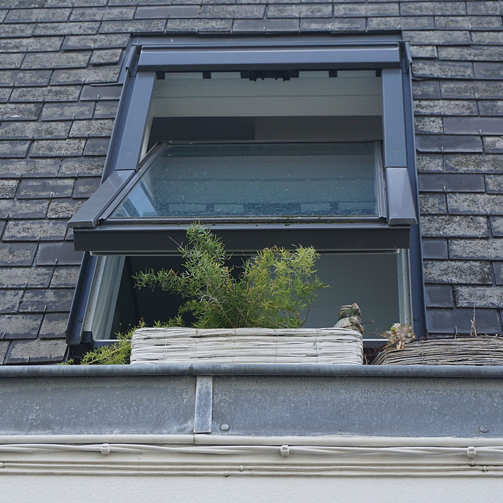 Dachfenster